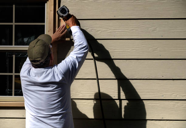 Best Fascia and Soffit Installation  in Branson, MO