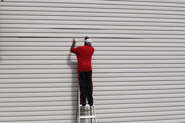 Affordable Siding Repair and Maintenance Services in Branson, MO
