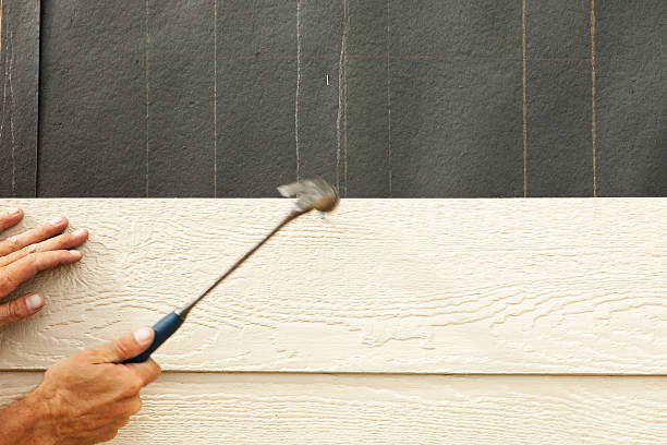 Best Stucco Siding  in Branson, MO